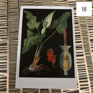 Single Postcard Art Print w/ Vintage Imagery - Botany - Lily 15